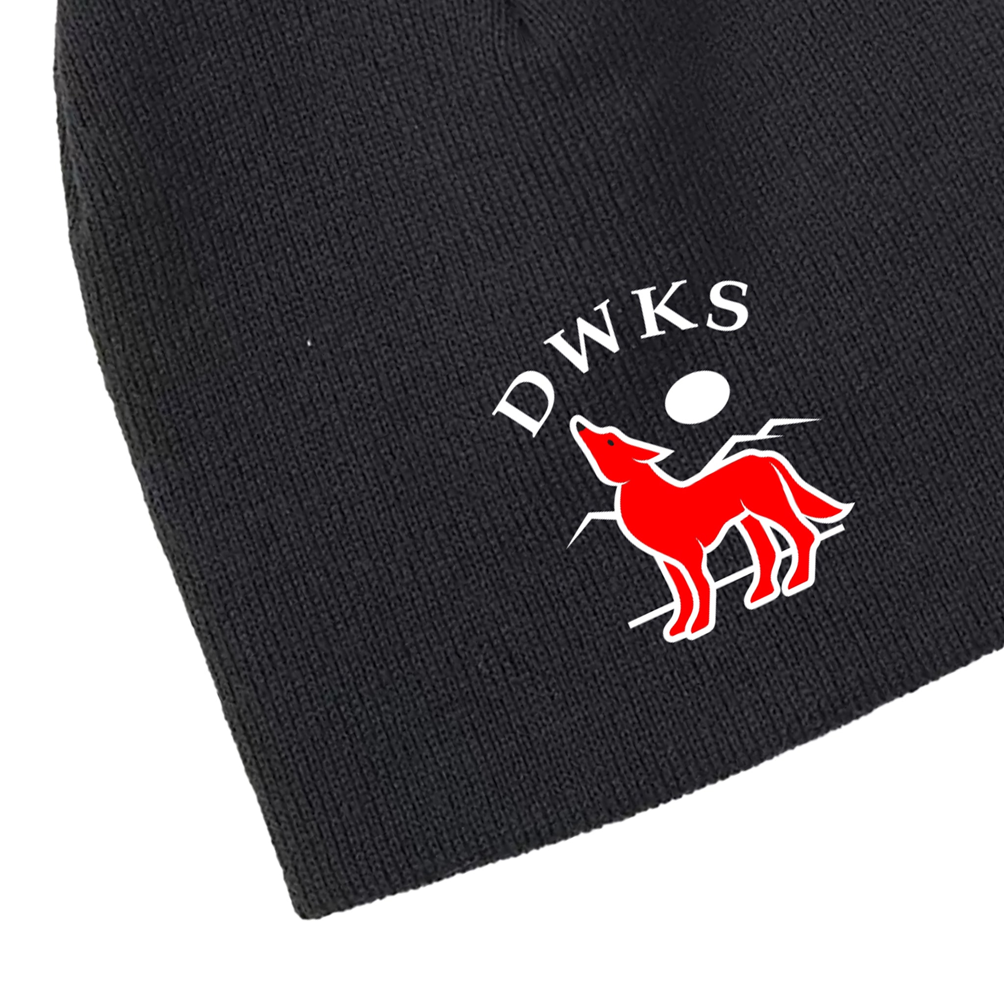 DWKS - Embroidered Knit Skull Cap