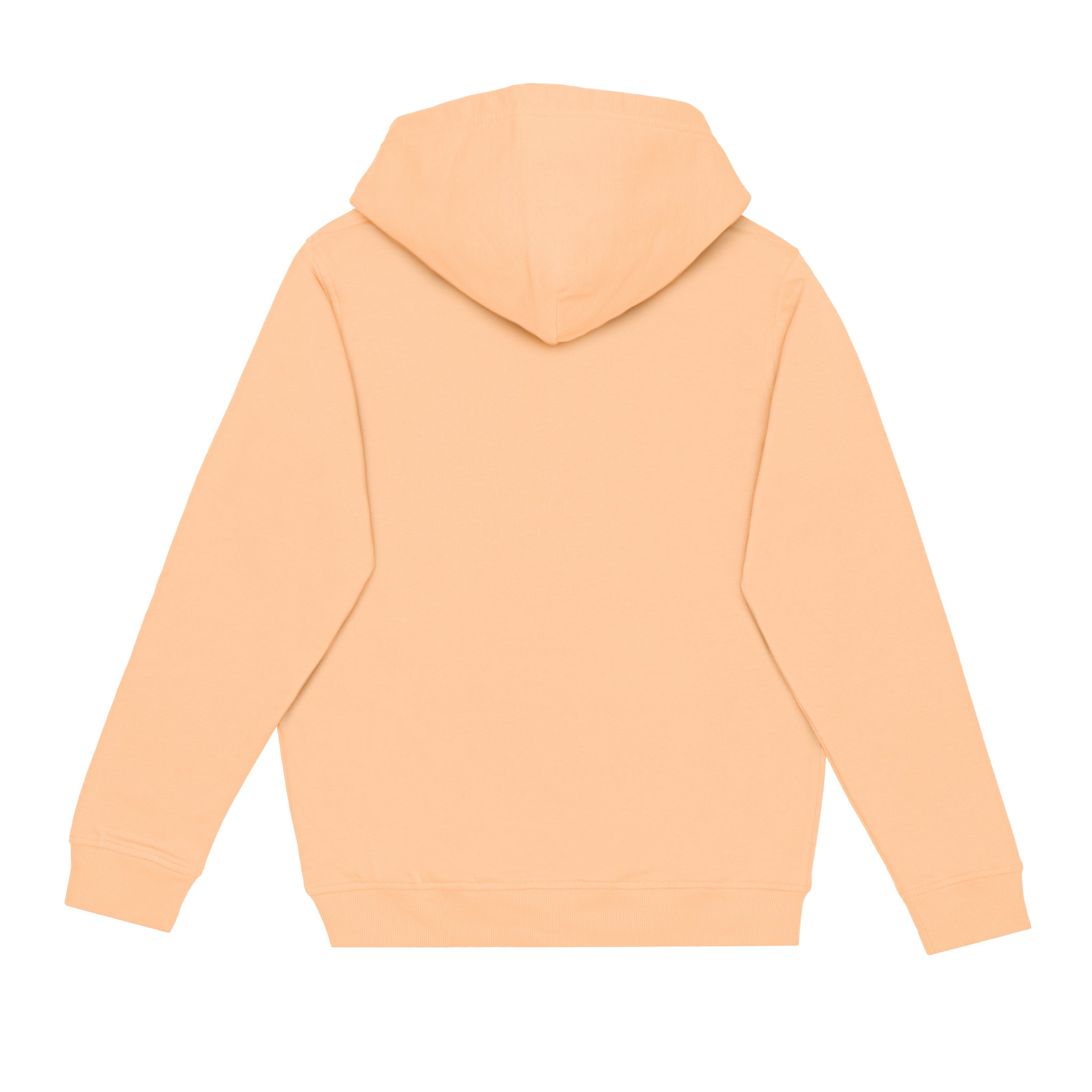 HERO-2020 Sweat à capuche vierge unisexe