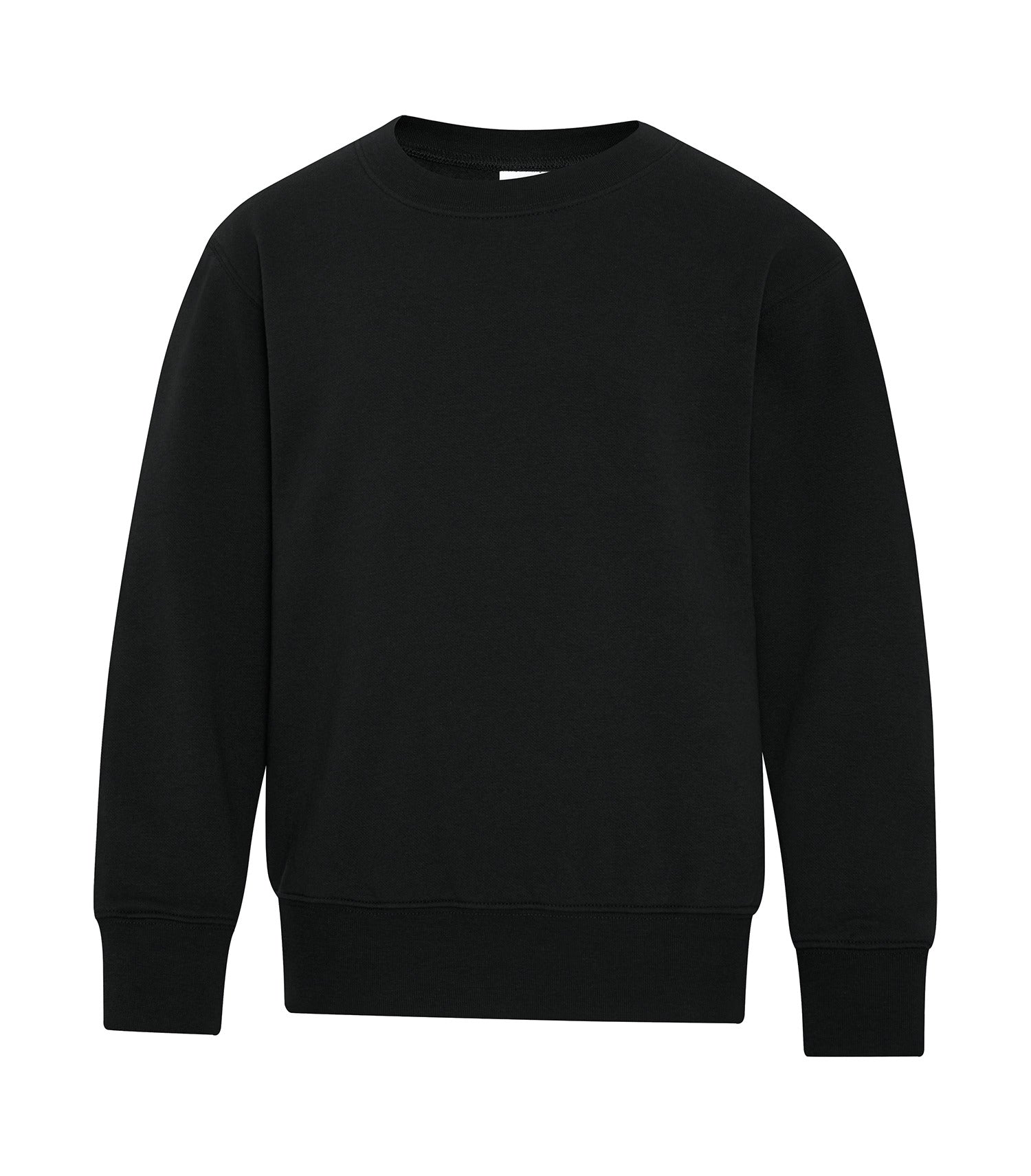 Sweat-shirt à col rond en polaire ATC™ Everyday pour jeunes - ATCY2400