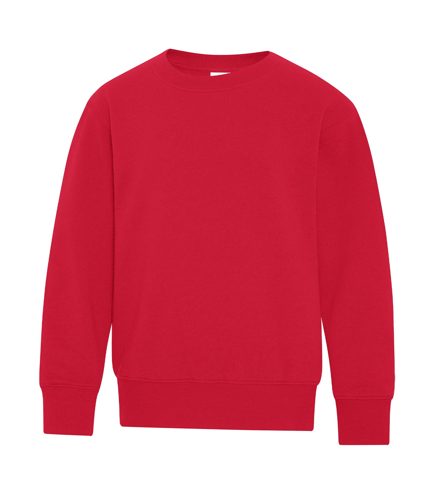 Sweat-shirt à col rond en polaire ATC™ Everyday pour jeunes - ATCY2400