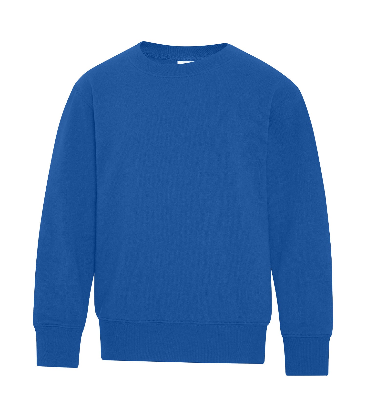 Sweat-shirt à col rond en polaire ATC™ Everyday pour jeunes - ATCY2400