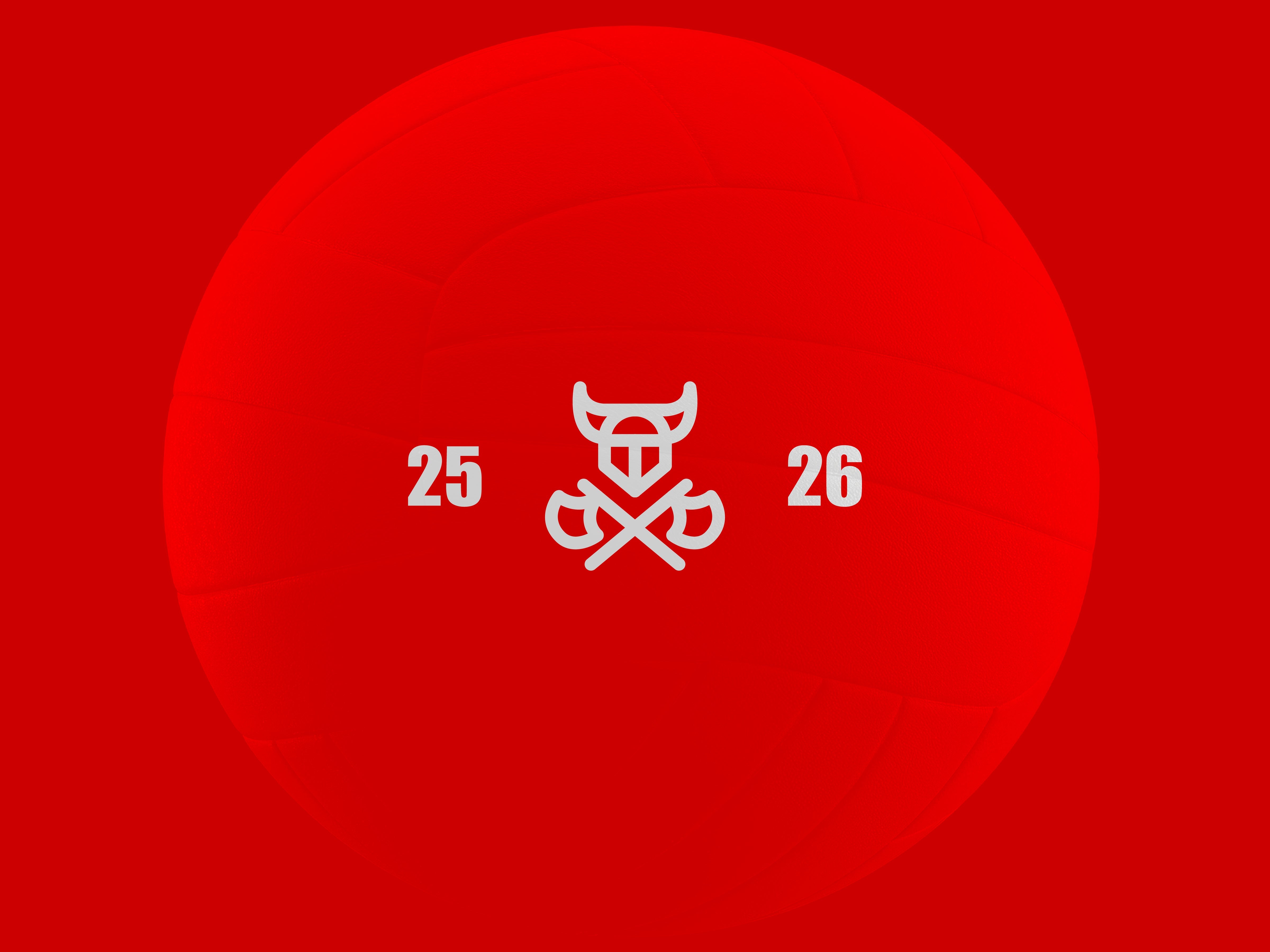 Ottawa Valley Vikings