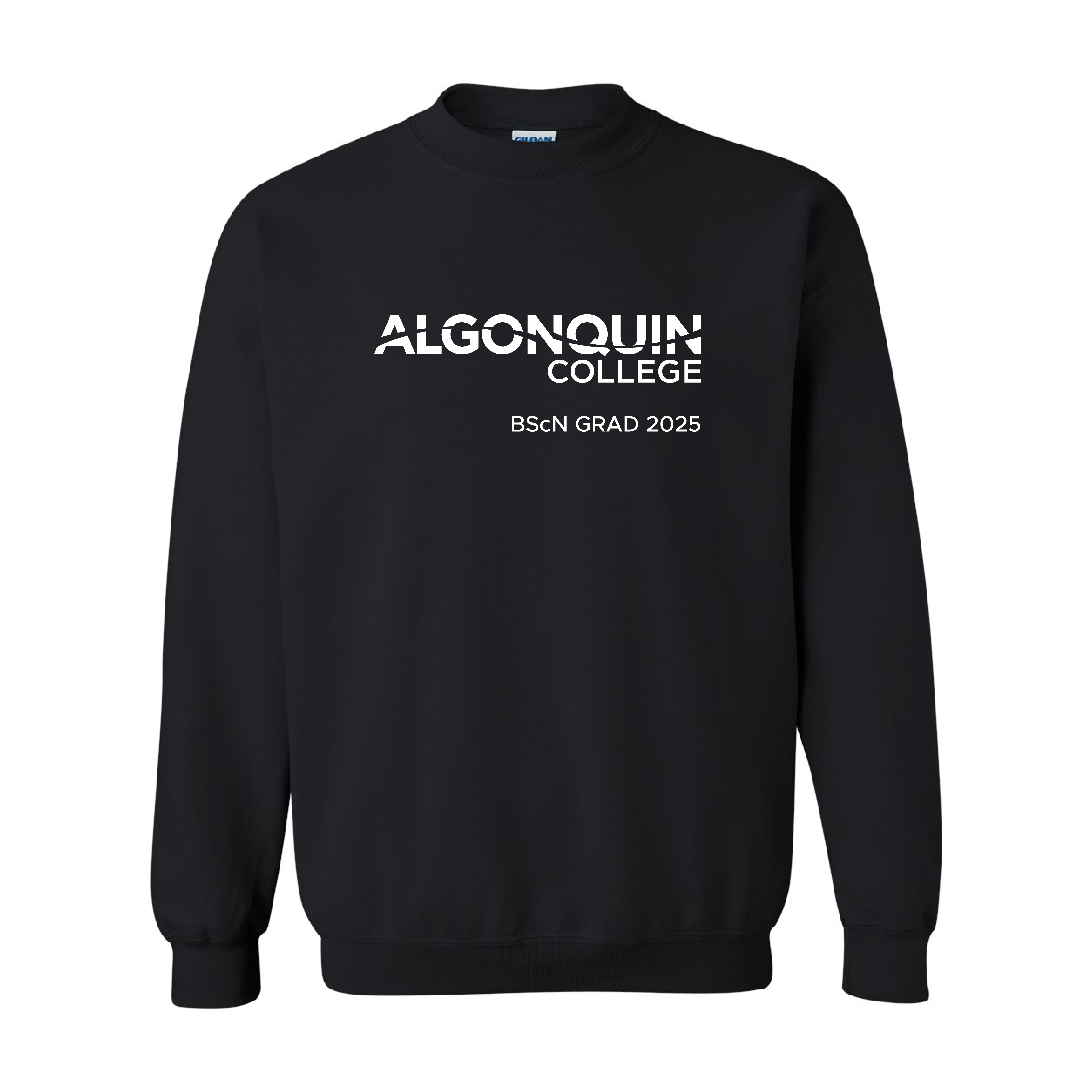 BScN - Printed or Embroidered Adult Hoodie