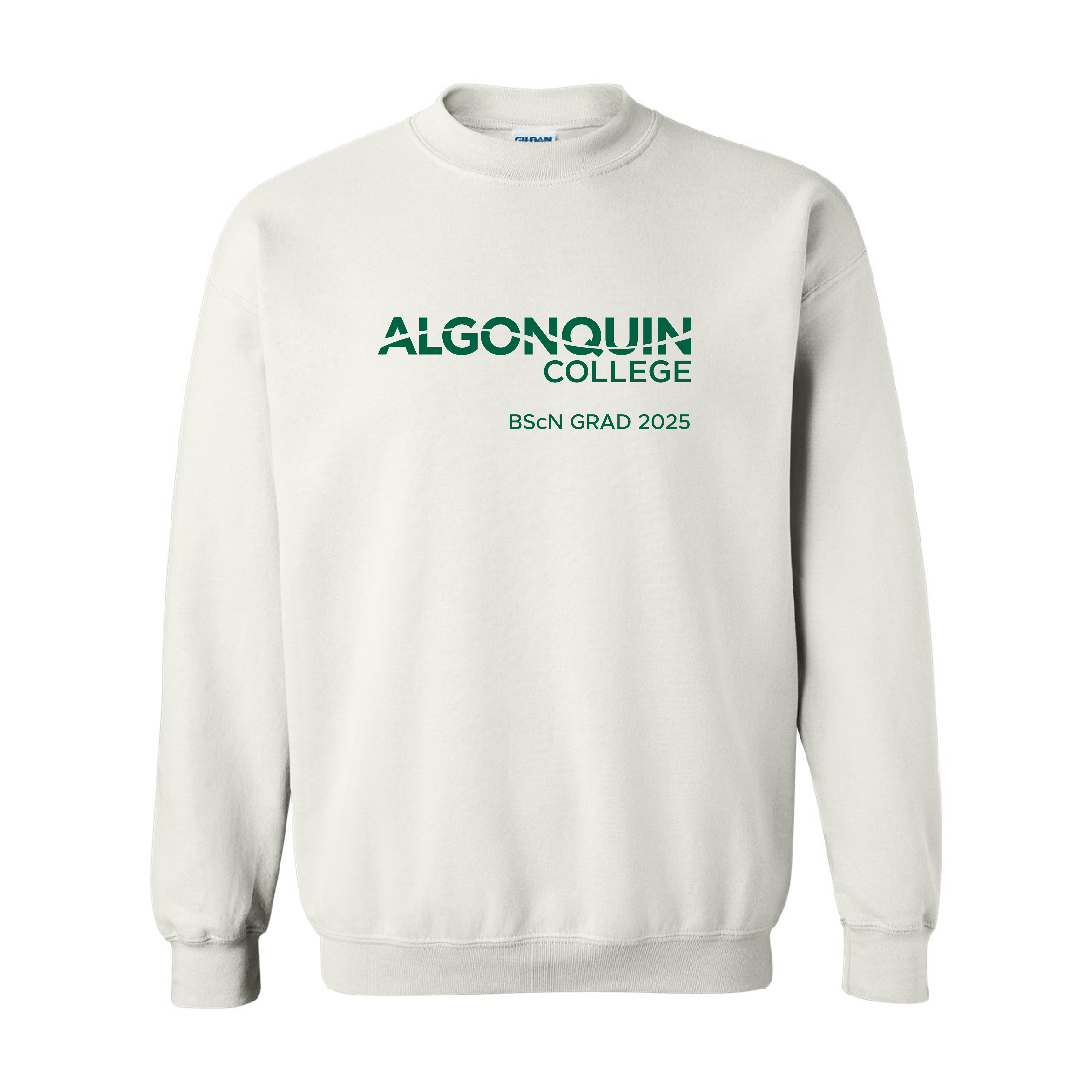BScN - Printed or Embroidered Adult Hoodie
