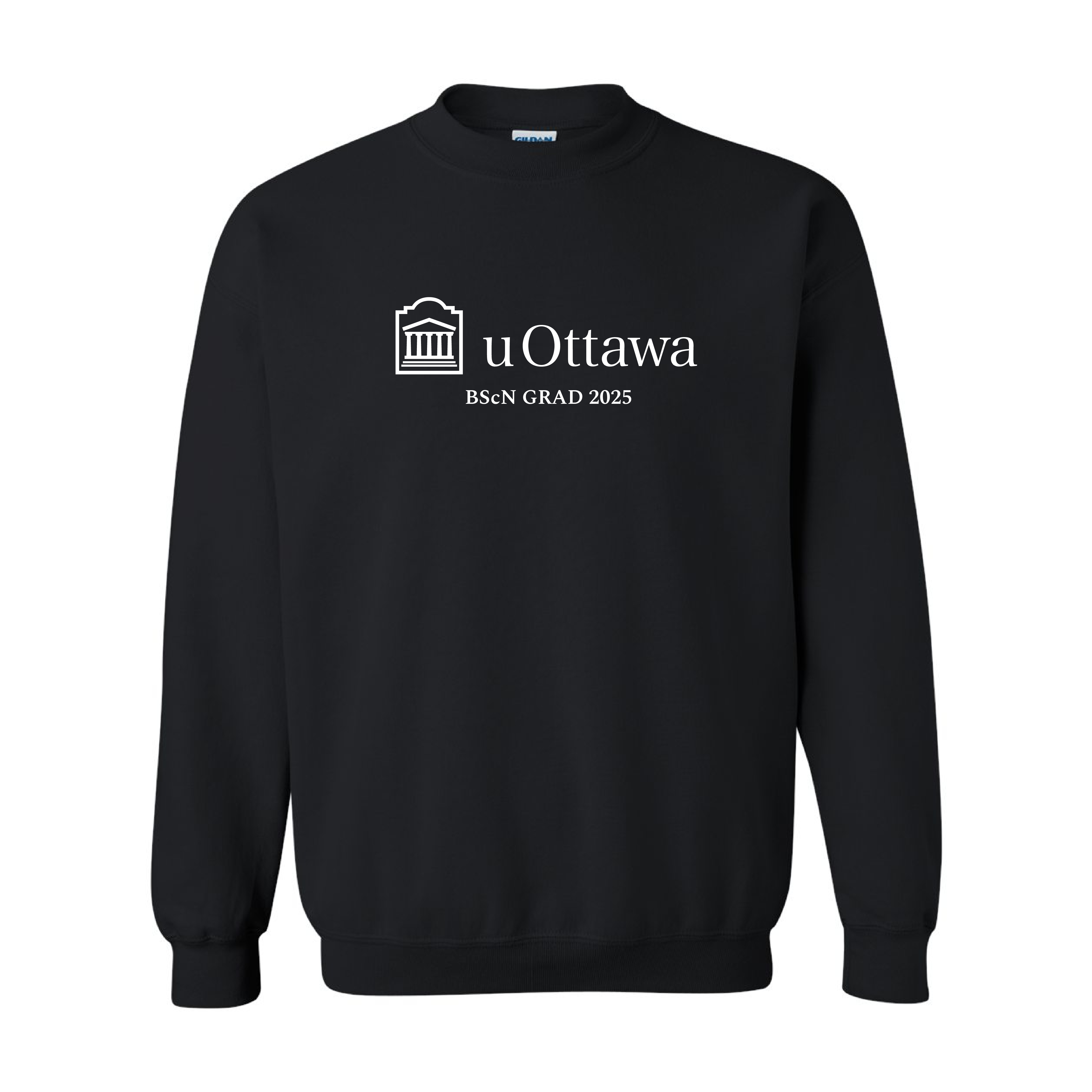 BScN - Printed or Embroidered Adult Hoodie