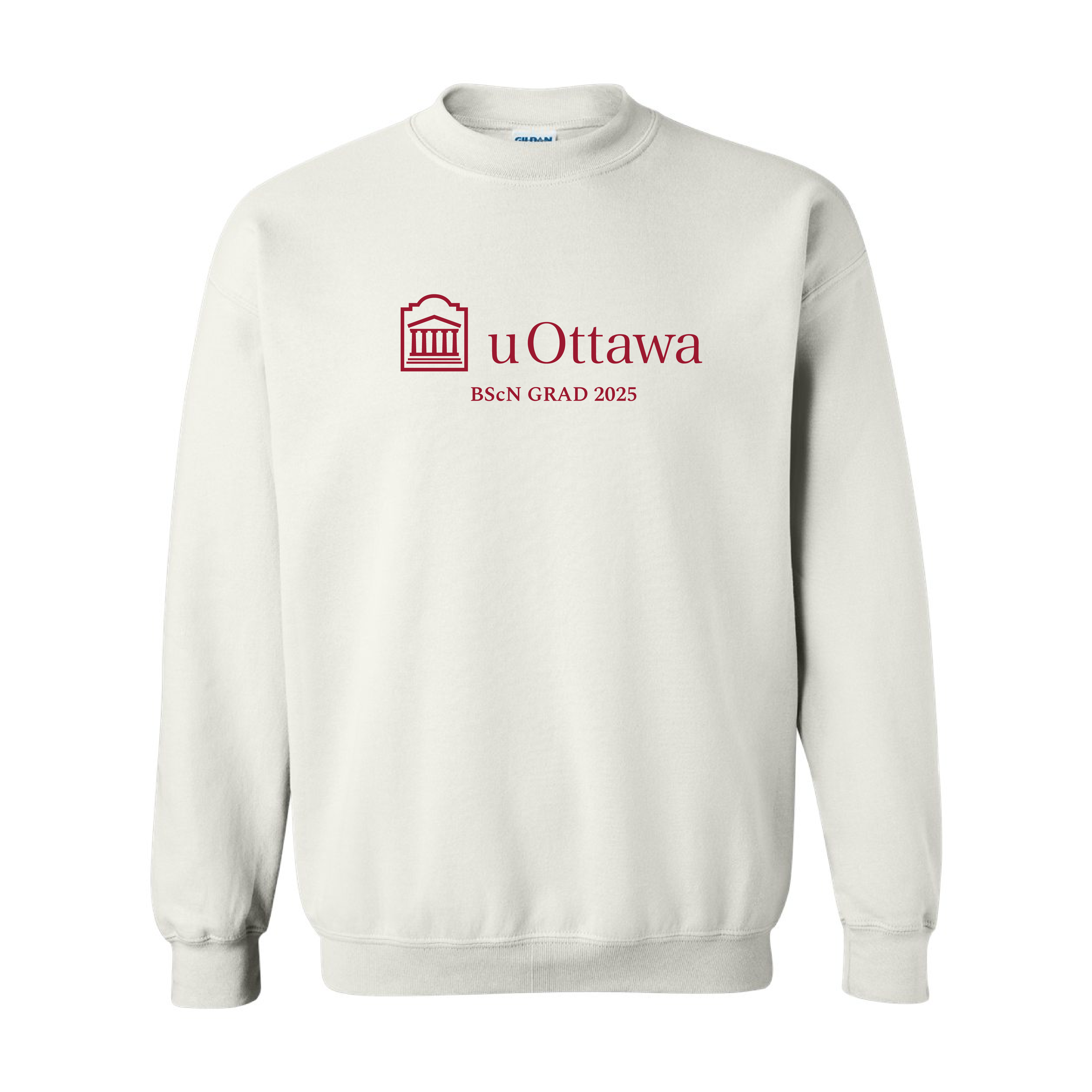 BScN - Printed or Embroidered Adult Hoodie