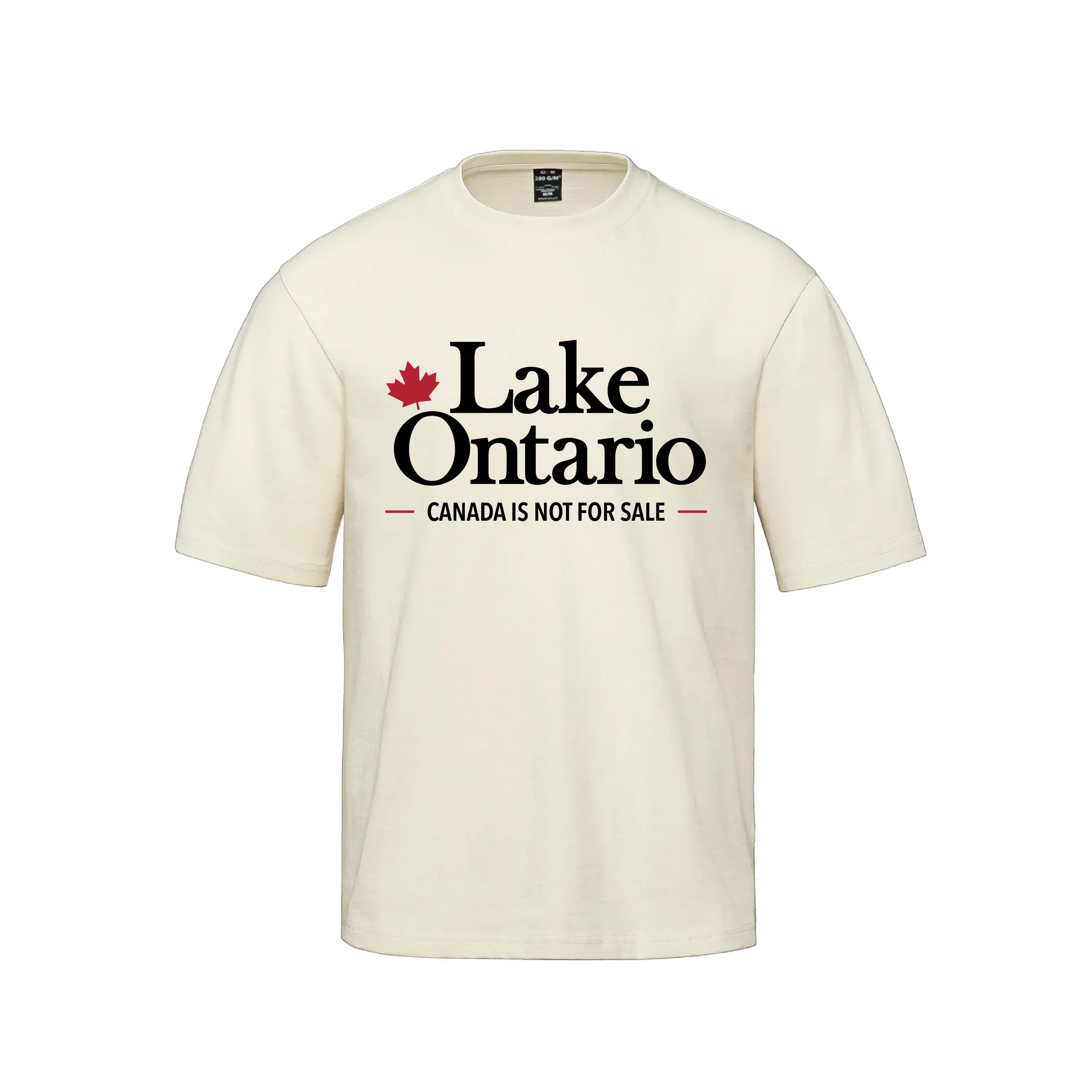 Lake Ontario Heavyweight Tee