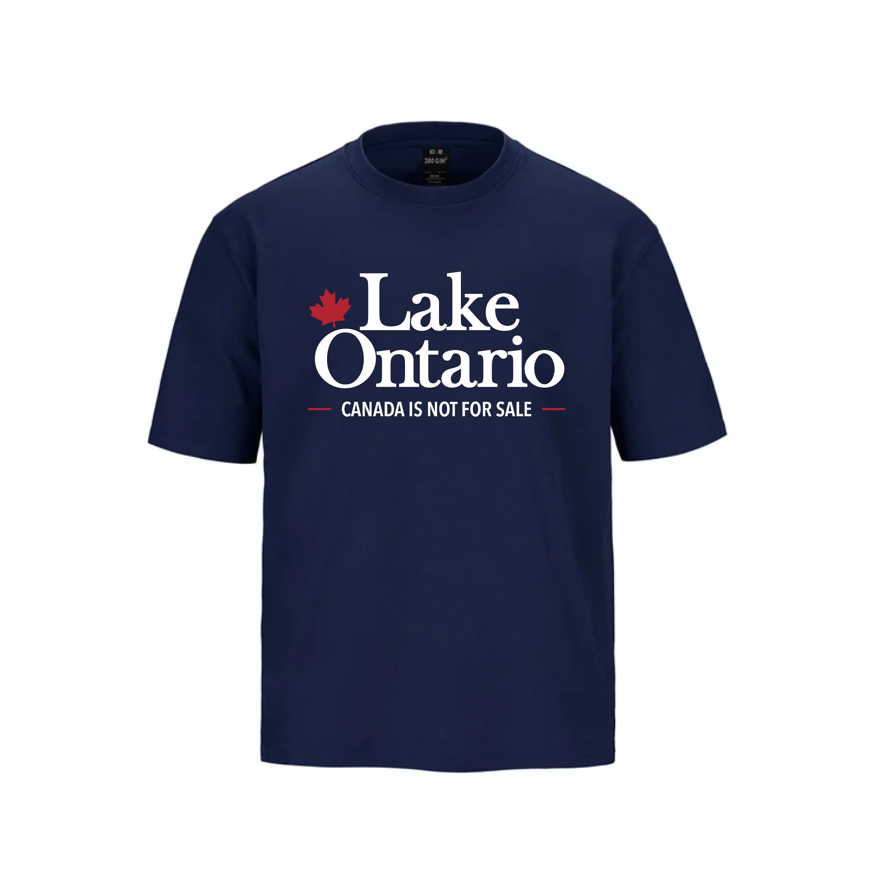 Lake Ontario Heavyweight Tee