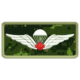 Red Parachutist Wing Patch Preview