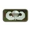 US Jump Wings Badge Patch Preview